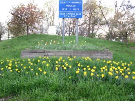 RT 90 Garden Bed Spring